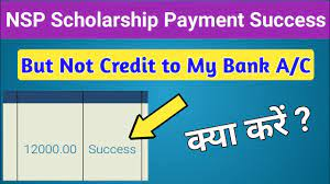 Overview of NSP Scholarship Payment Credit Successfully