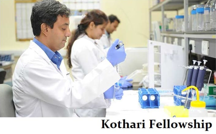 Kothari Fellowship 2023